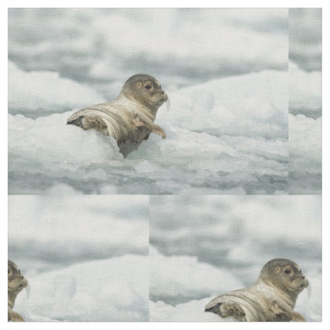 Sweet Baby Seal Tyg (Närbild)