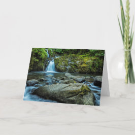 Sweet Bäck Falls Kort