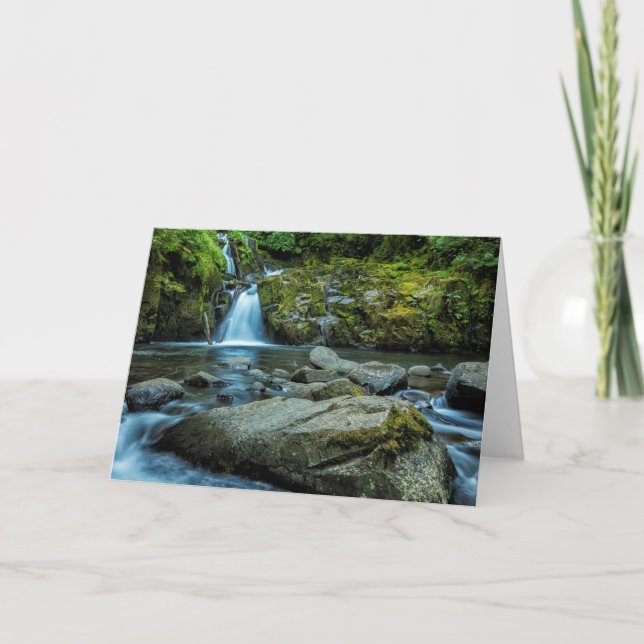 Sweet Bäck Falls Kort (Framsida)