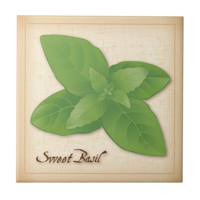 Sweet Basil Herb Kakelplatta (Framsidan)