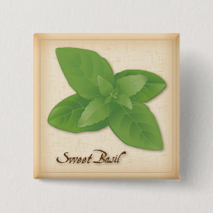 Sweet Basil Herb Knapp