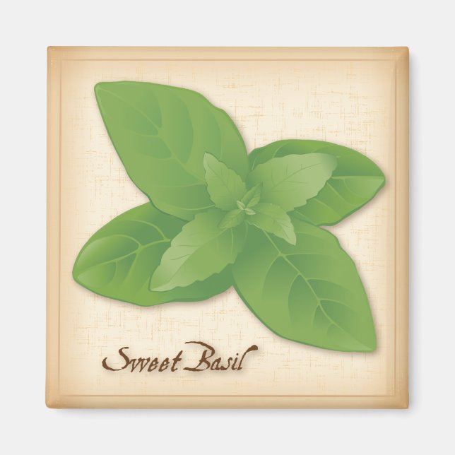 Sweet Basil Herb Magnet (Framsidan)