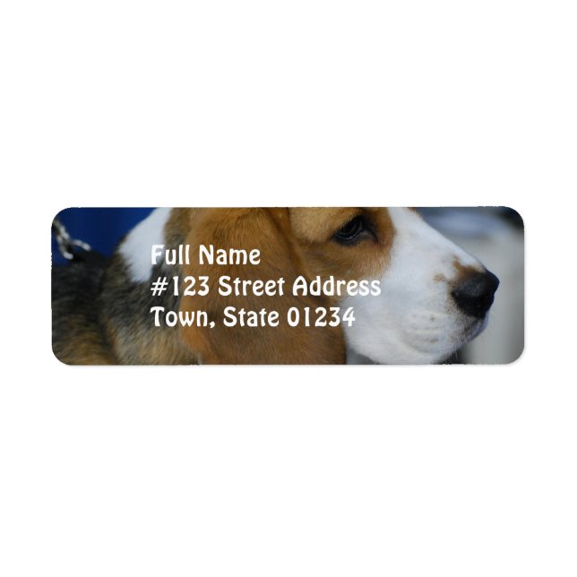Sweet Beagle Returadress Etikett (Framsidan)