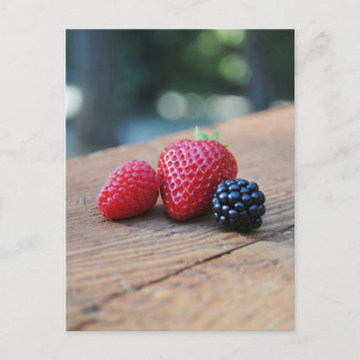 Sweet Berries Vykort
