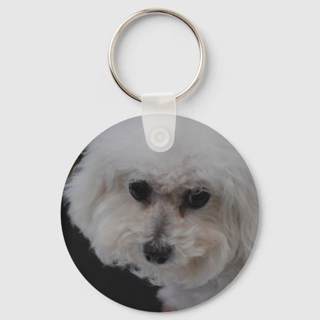Sweet Bichon Frise Nyckelring (Framsida)