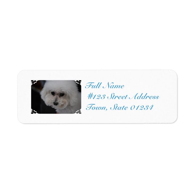 Sweet Bichon Frise Returadress Etikett (Framsidan)
