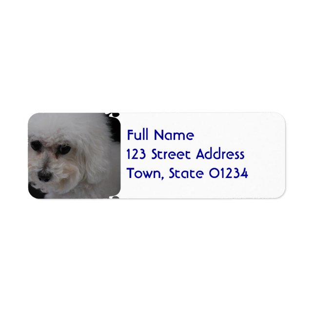 Sweet Bichon Frise Returadress Etikett (Framsidan)