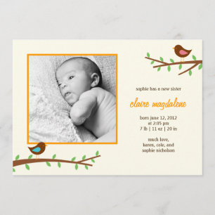 Sweet Birdies Baby Birth Notice of Meddelande
