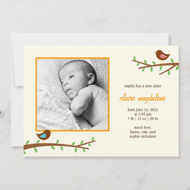Sweet Birdies Baby Birth Notice of Meddelande (Framsida)