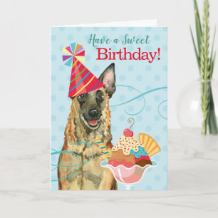 Sweet Birthday Malinois Kort