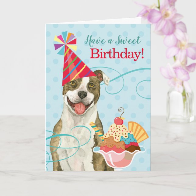Sweet Birthday Pit Bull Terrier Kort (Orkide)