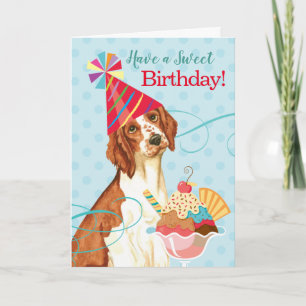 Sweet Birthday Welsh Springer spanel Kort