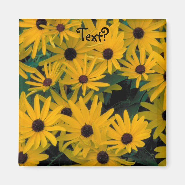 Sweet Black Eyed Susans FlowersFridge Magnet (Framsidan)