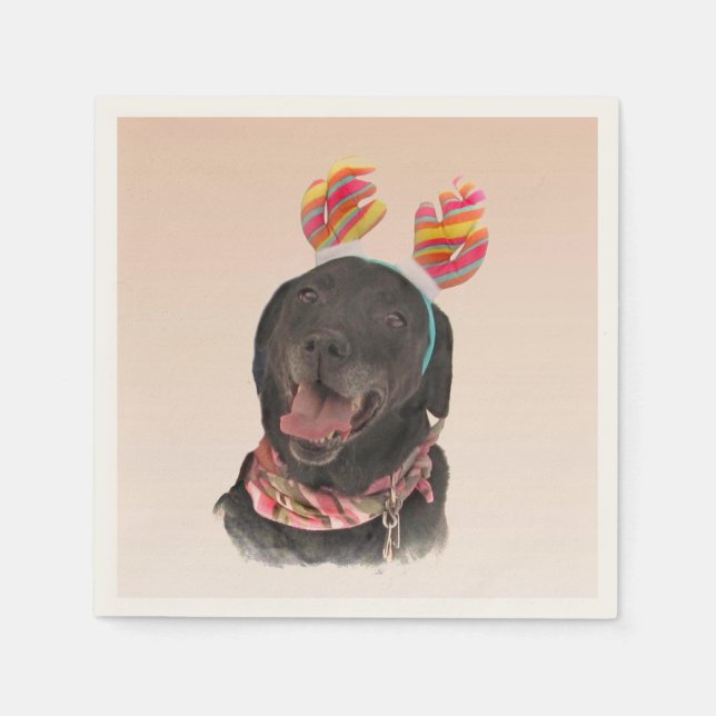 Sweet Black Labrador Retriever Hund Pappersservett (Framsidan)