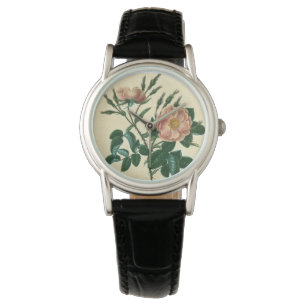 Sweet Briar Ro Armbandsur
