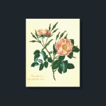 Sweet Briar Ro Canvastryck<br><div class="desc">Blommigt</div>