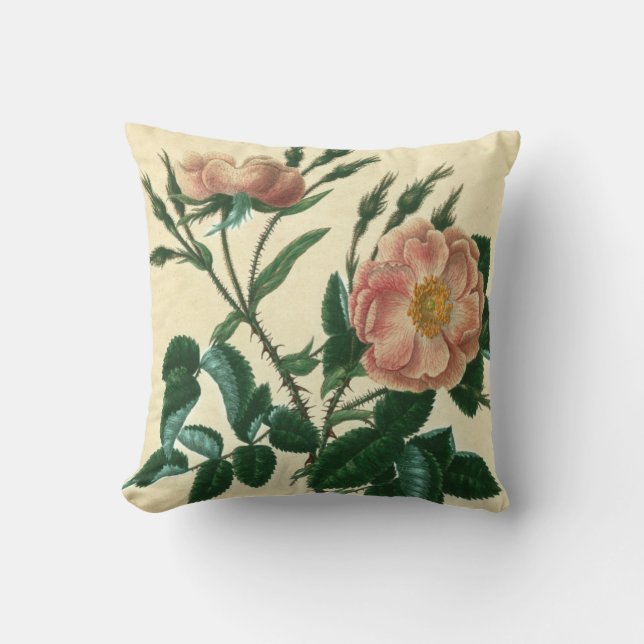 Sweet Briar Ro Kudde (Framsida)