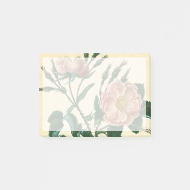 Sweet Briar Ro Post-it Block (Framsida)