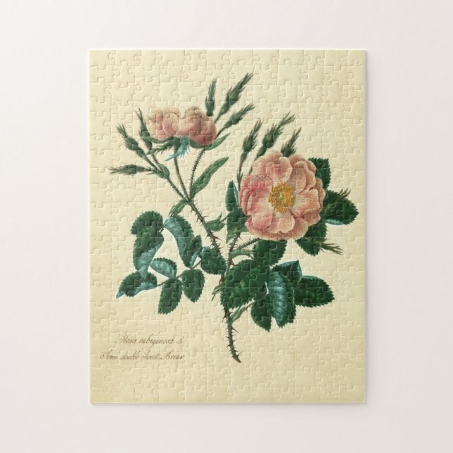 Sweet Briar Ro Pussel (Vertikal)
