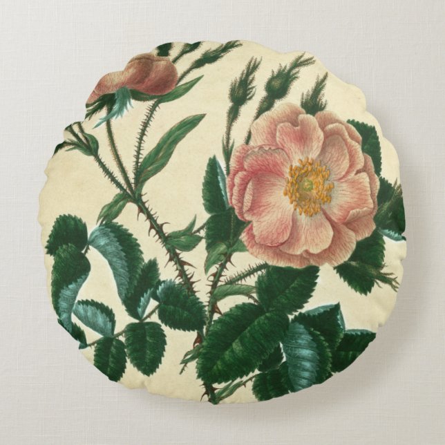 Sweet Briar Ro Rund Kudde (Framsidan)