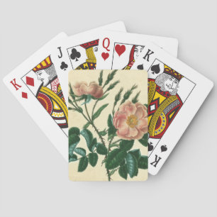 Sweet Briar Ro Spel Kort