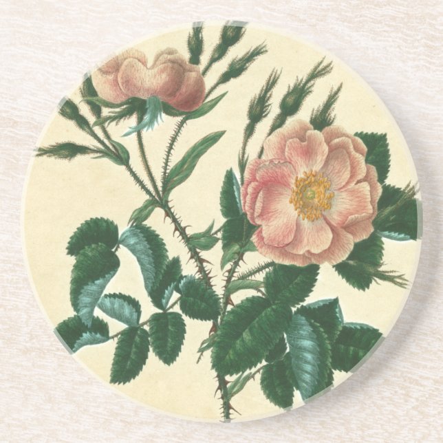 Sweet Briar Ro Underlägg (Framsidan)