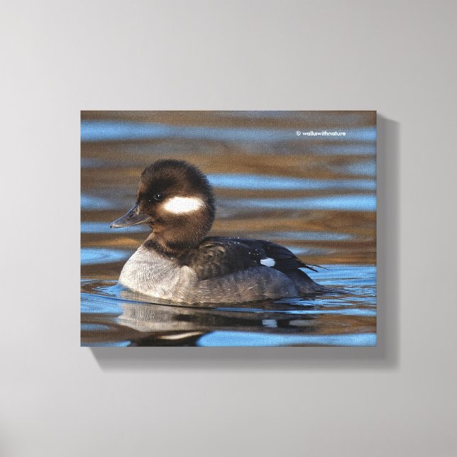Sweet Bufflehead Anka på Sunlit Vatten Canvastryck (Framsida)