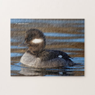 Sweet Bufflehead Anka på Sunlit Vatten Pussel