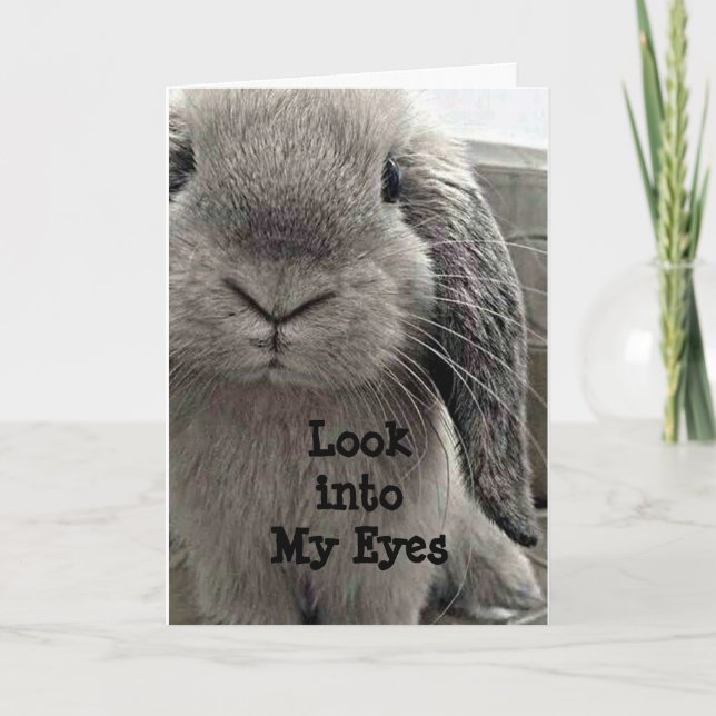 SWEET BUNNY HOPPING BY TO SAY GRATTIS PÅ FÖDELSEDA KORT (Framsida)