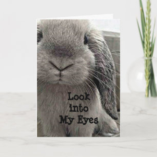 SWEET BUNNY HOPPING BY TO SAY GRATTIS PÅ FÖDELSEDA KORT