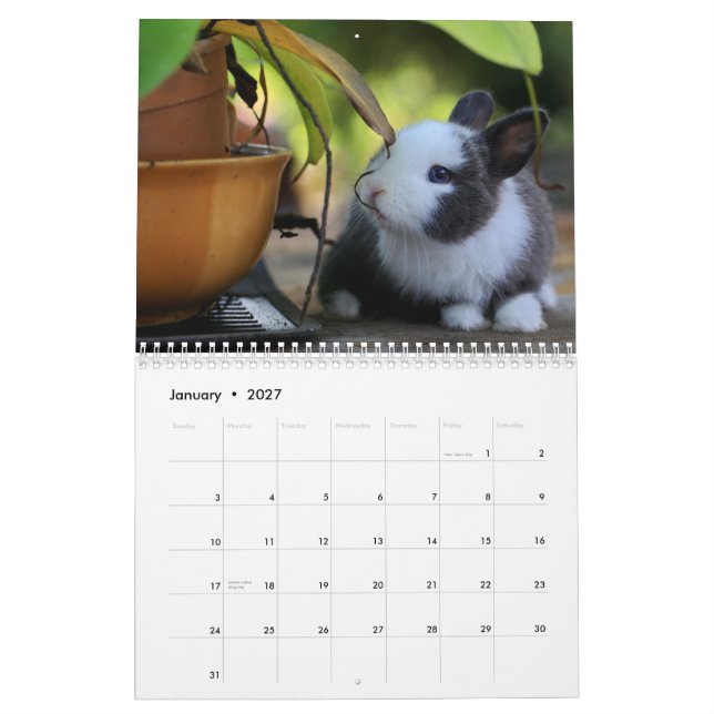 Sweet Bunny Rabbits 2024 Calendar Kalender (Jan 2027)