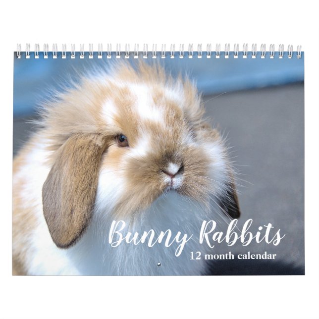 Sweet Bunny Rabbits 2026 Kalender (Omslag)