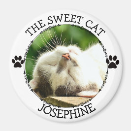 SWEET CAT: Humoral Tassavtryck Photo Button Magnet