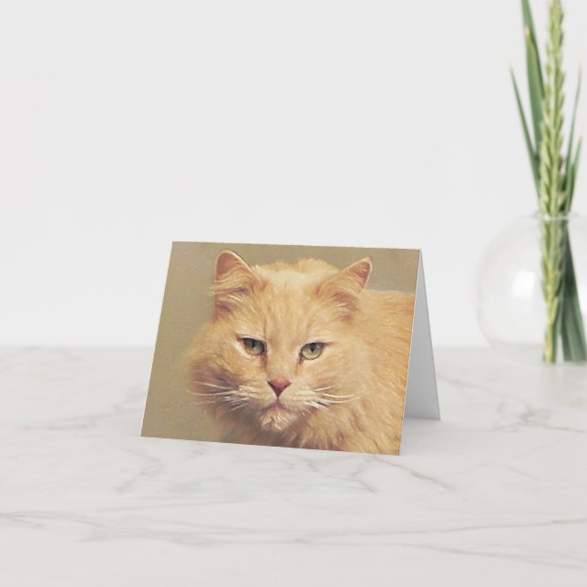 Sweet Cat kommer snart Kort (Framsida)