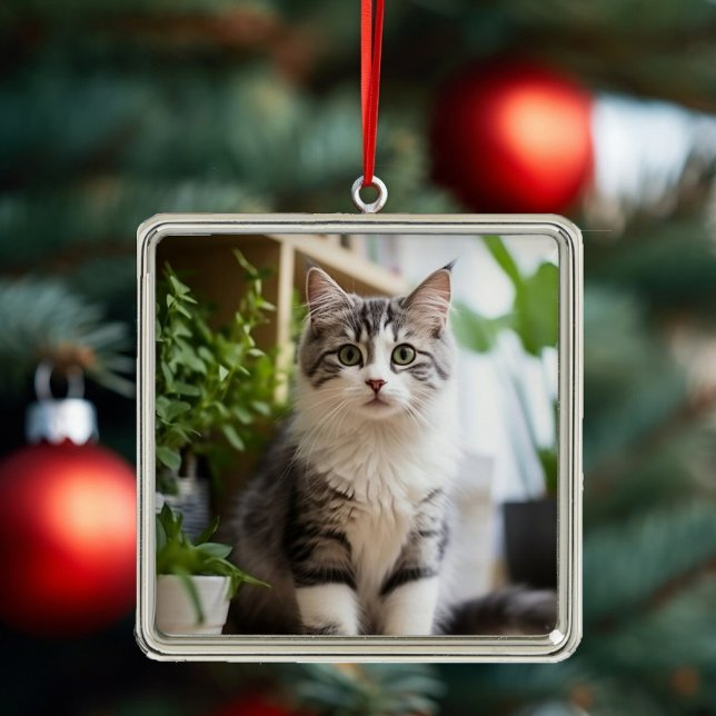 Sweet Cat Ornament (Skapare uppladdad)