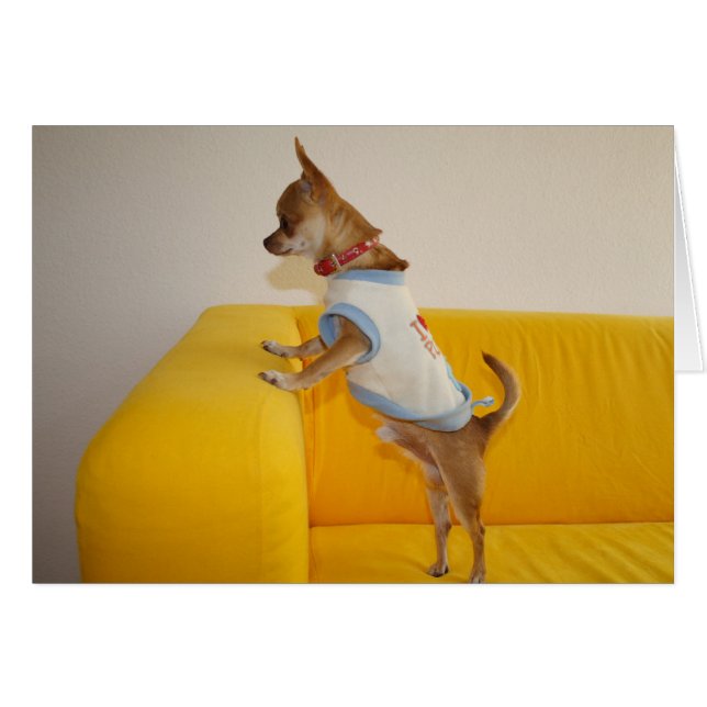Sweet Charlie Chihuahua Hälsningskort (Framsidan Horizontal)
