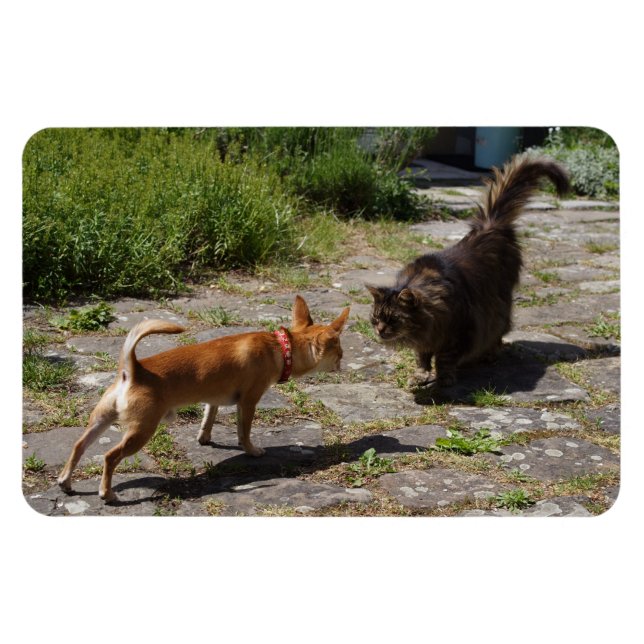 Sweet Charlie Chihuahua Magnet (Horisontell)