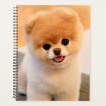 Sweet Charming Pomeranian Planner