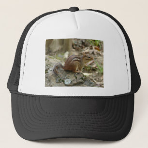 Sweet Chipmunk Hett Vår nationalparksgåvor Keps