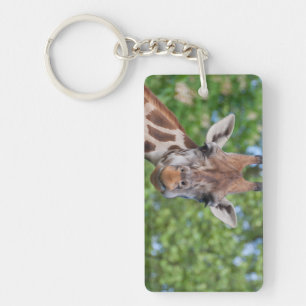 Sweet Curios Giraffe
