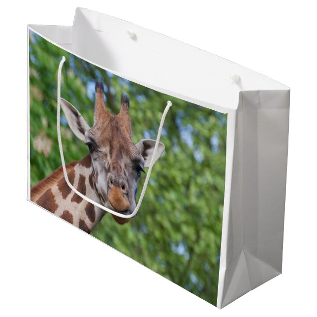 Sweet Curios Giraffe (Framsidan Vinklad)