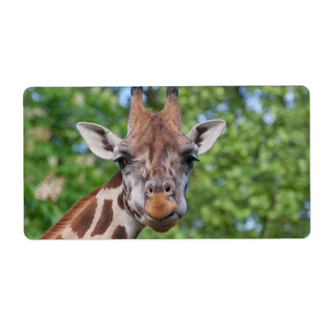 Sweet Curios Giraffe Fraktsedel (Framsidan)