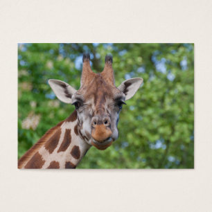 Sweet Curios Giraffe Visitkort