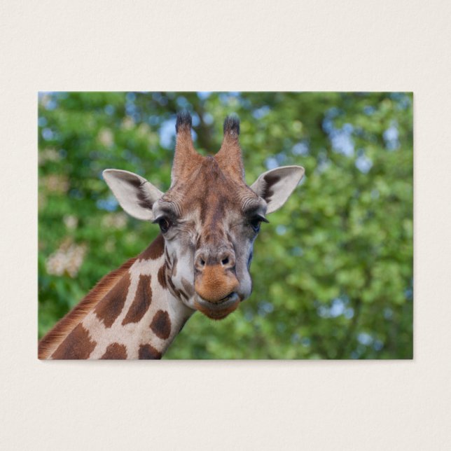 Sweet Curios Giraffe Visitkort (Framsidan)
