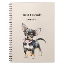 Sweet Cute Brown Cream Chihuahua Dog Best Friends