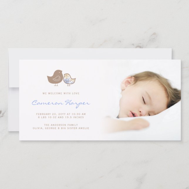 Sweet Damask Chicks Pojke Birth Notice Meddelande (Framsida)