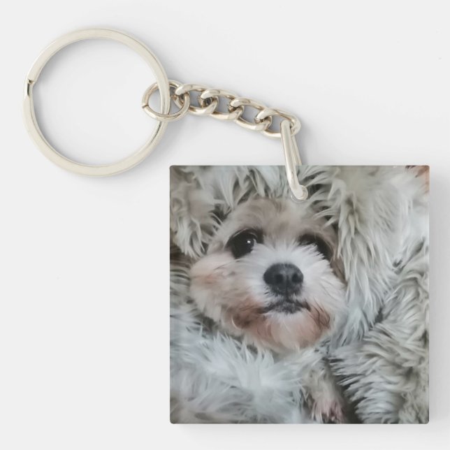 Sweet dog (Framsidan)
