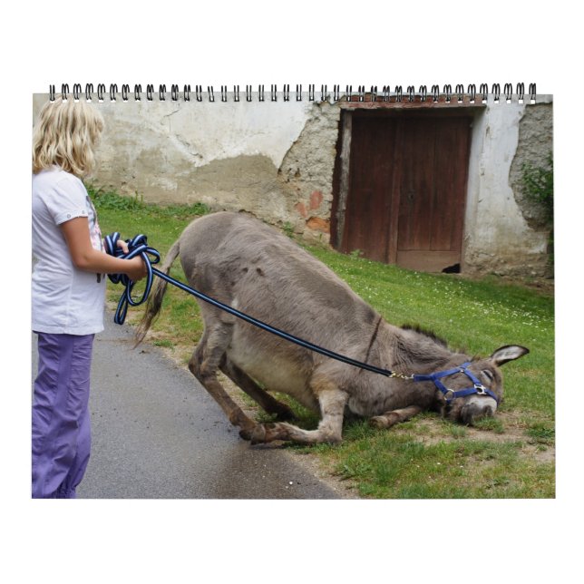 Sweet Donkey hela året 2025 Kalender (Omslag)