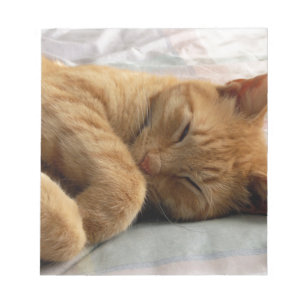 Sweet Dreams Anteckningsblock