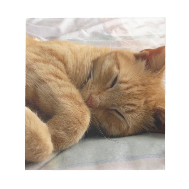 Sweet Dreams Anteckningsblock (Framsida)